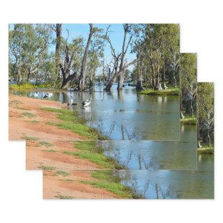 Pelicans Sunbaking River Murray, Gift Wrap Sheets