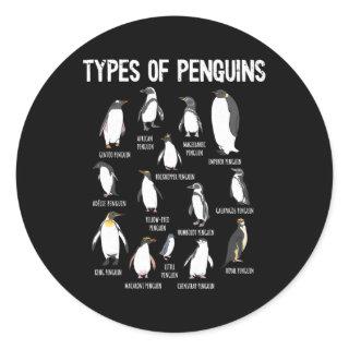 Penguin Penguins Of The World Types Of Penguins Classic Round Sticker