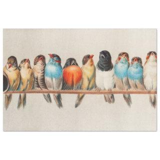 Perch of Birds, Bird Art, Bird Artwork, Decoupage Tissue Paper