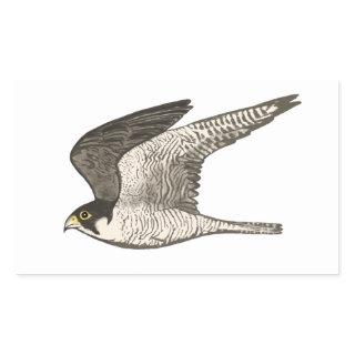 Peregrine Falcon colored pencil drawing Rectangular Sticker