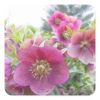 Perennial Plants - Purple Hellebore Square Sticker