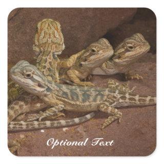 Personalized Baby Bearded Dragon Lizard Jigsaw Puz Square Sticker