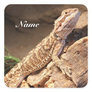 Personalized Baby Bearded Dragon Lizard Square Sticker