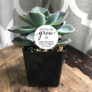 Personalized Baby Shower Succulent Favor  Classic Round Sticker