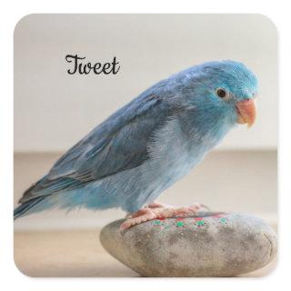 Personalized Blue Parrotlet Pet Bird Square Sticker