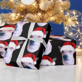 Personalized Dog Christmas