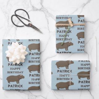 Personalized Name Birthday Hippopotamus Hippo  Sheets