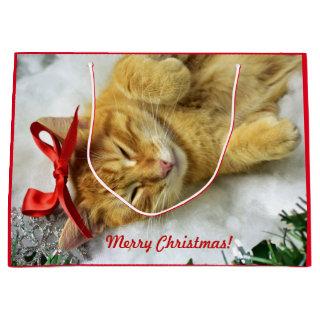 Personalized Orange Tabby Cat Christmas Large Gift Bag