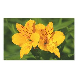 Peruvian Lilies Rectangular Sticker