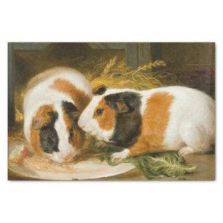 Pet Guinea Pigs Feeding (by James Ward) Tissue Paper