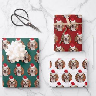 Pet Photo Christmas Colors Santa Hats on Head  Sheets
