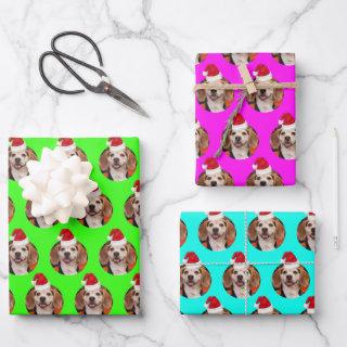 Pet Photo Neon Colors Santa Hats on Head Christmas  Sheets