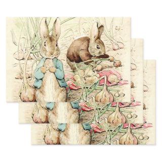 Peter and Benjamin Gather Onions by Beatrix Potter  Sheets