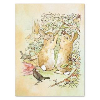 Peter Rabbit 3 Tissue Paper