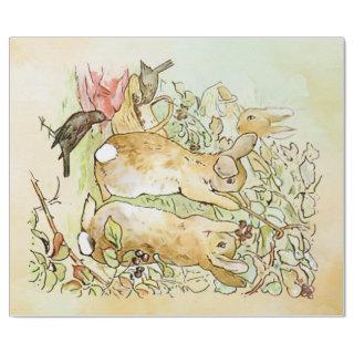 Peter Rabbit  4