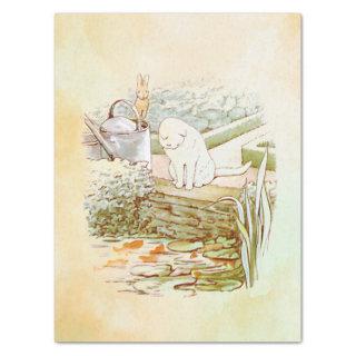Peter Rabbit (cat) Tissue Paper