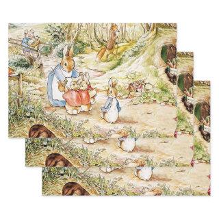 Peter Rabbit’s Neighbourhood by Beatrix Potter  Sheets