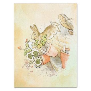 Peter Rabbit (shoe) Tissue Paper
