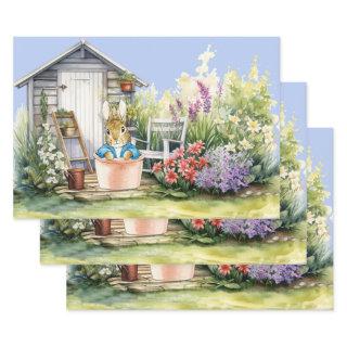 Peter the Rabbit Garden Shed  Sheets