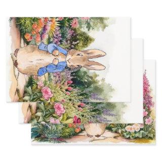 Peter the Rabbit in his garden   Sheets