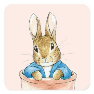 Peter the Rabbit Sitting in a Pot   Square Sticker