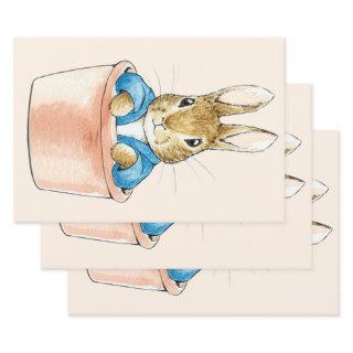 Peter the Rabbit Sitting in Plant Pot  Sheets