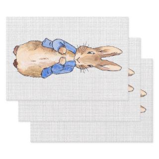 Peter with a Gray Linen background  Sheets