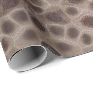 Petoskey Stone michigan state stone fossil
