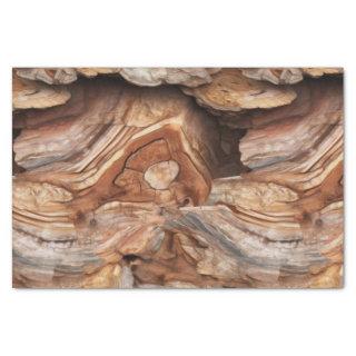 Petrified Wood Decoupage Tissue Paper