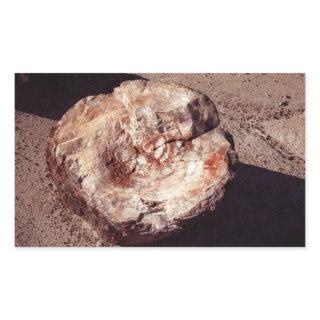 Petrified Wood Log with Shadows Arizona Photo Rectangular Sticker