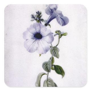 Petunia Square Sticker