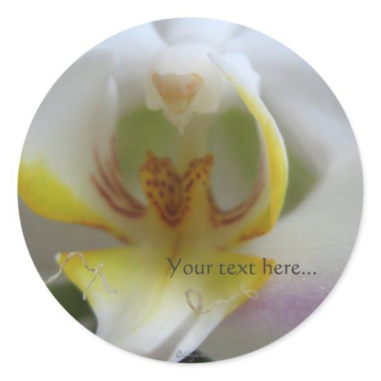 Phalaenopsis Magic White Wedding Invitation Seals