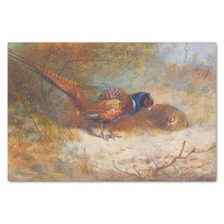 Pheasants by Archibald Thorburn Tissue Paper