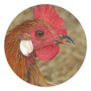 Phoenix Rooster Classic Round Sticker