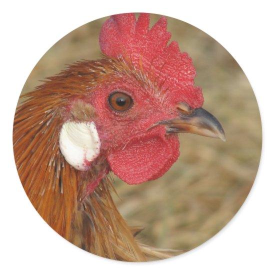 Phoenix Rooster Classic Round Sticker