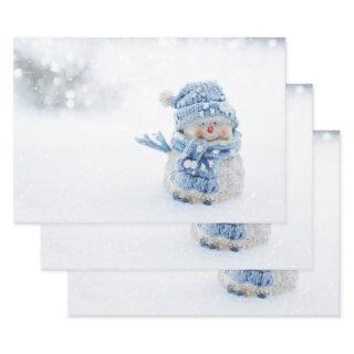 Photo of a Cute Snowman in Winter - Christmas   Sheets