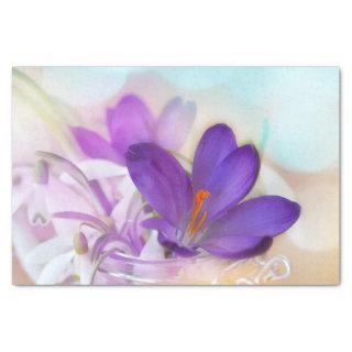 Photo of a Pretty Purple Spring Crocus Tissue Paper