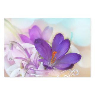 Photo of a Pretty Purple Spring Crocus  Sheets