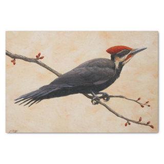 Pileated Woodpecker Perched on Tree Branch Tissue Paper