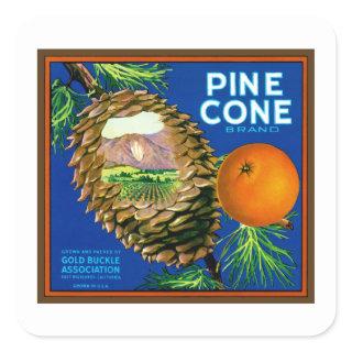 Pine Cone Oranges Square Sticker