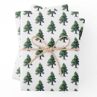 Pine Tree with Snow Watercolor Painting   Sheets