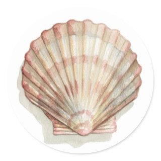 Pink and Cream Seashell Classic Round Sticker