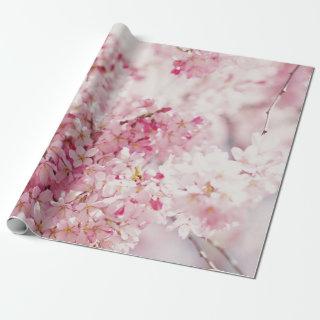 PINK AND WHITE CHERRY BLOSSOM
