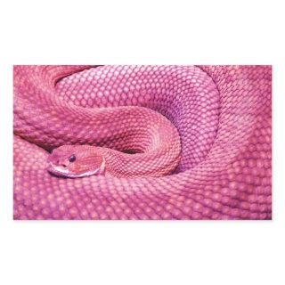 Pink Basilisk Rattlesnake Rectangular Sticker