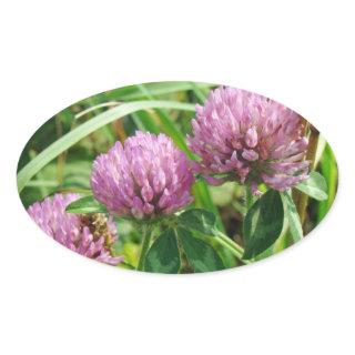 Pink Clover Wildflower - Trifolium pratense Oval Sticker