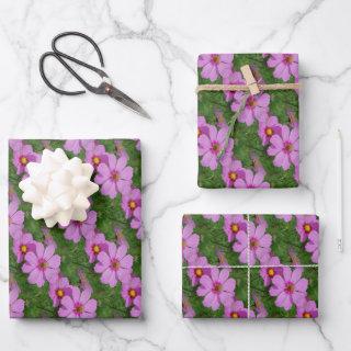 Pink Cosmos Flowers Nature Pattern   Sheets