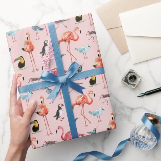 Pink flamingo sea birds tropical