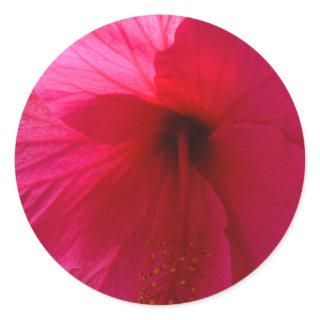 Pink Hibiscus Flower Classic Round Sticker
