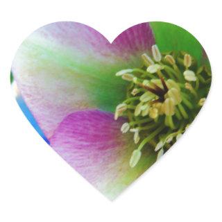 Pink Lenten Rose blue glass ball Heart Sticker