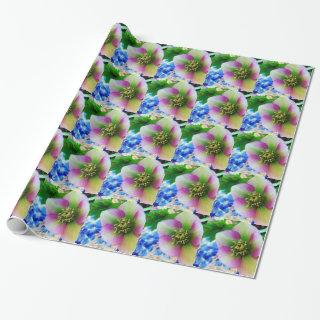 Pink Lenten Rose blue glass ball